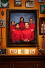 A Nice Indian Boy (2025) movie poster